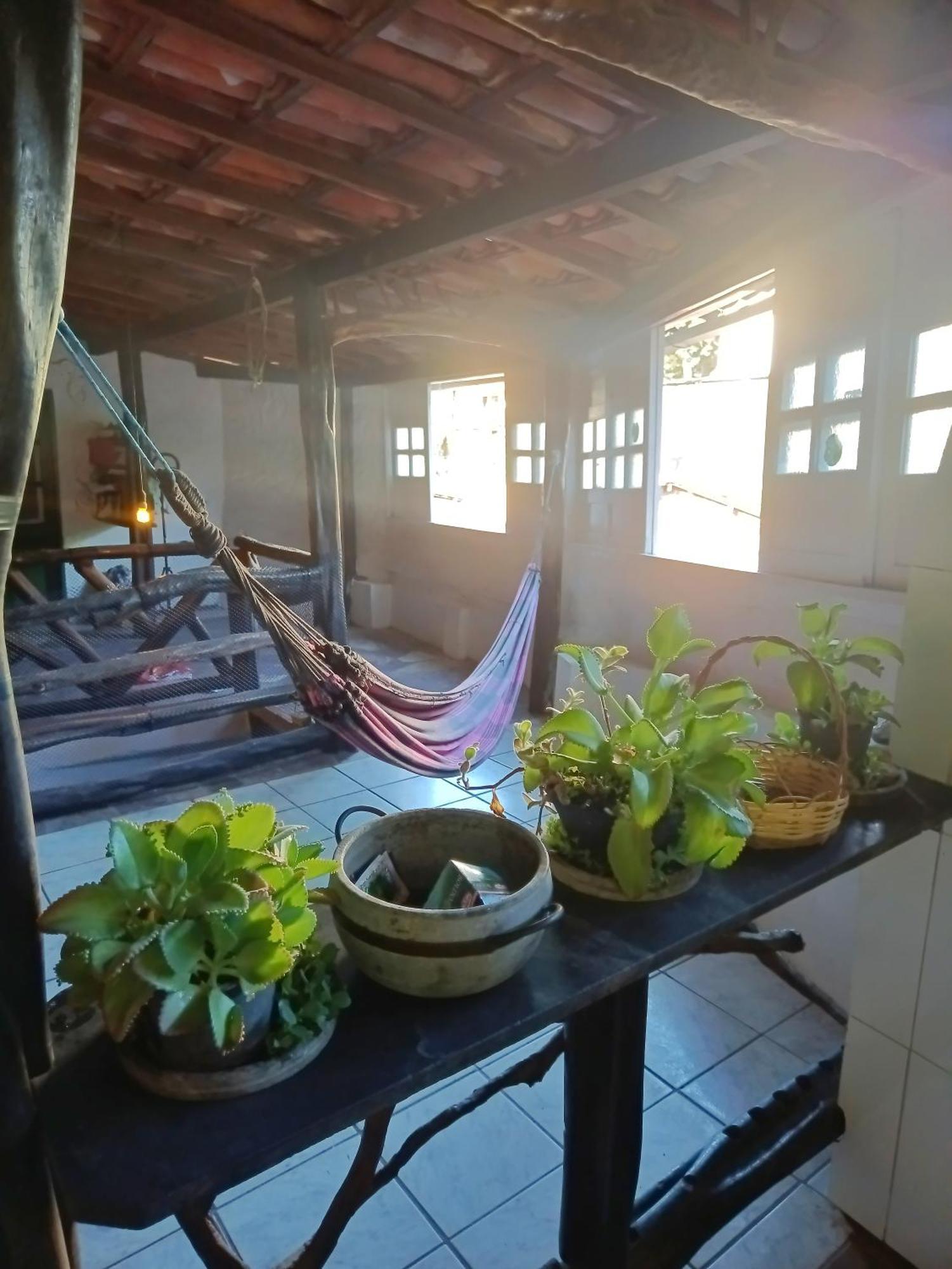 Trilhas Homestay *
